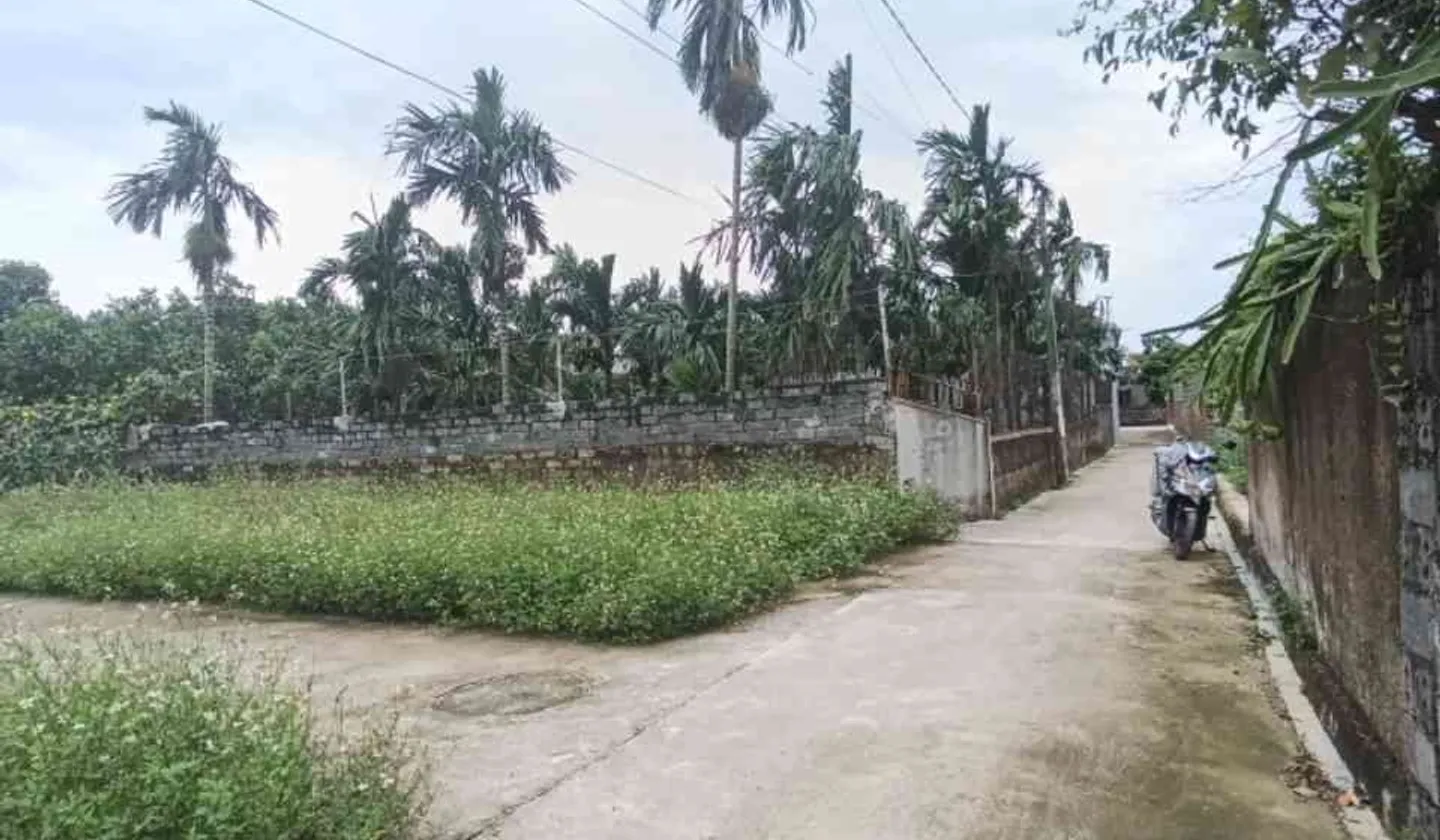 Cơ Hội Vàng Sở Hữu Đất Đẹp Kỳ Sơn Việt Khê, Thủy Nguyên... Bán đất tại Lê Ích Mộc, Hải Phòng 01