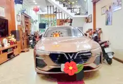 🏡NHÀ 5 TẦNG_NGANG 5M H.IẾM TÌM_HẺM 8M XE HƠI NGỦ TRONG NHÀ_ 1/ TRẦN THỊ NĂM QUẬN12 💰HƠN 7🧄 (TL)... Bán nhà riêng tại Trung Mỹ Tây, Hồ Chí Minh 02