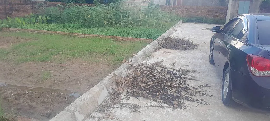Bán đất 80m² mặt tiền rộng tại Xuân Đồng, Tân Minh, Sóc Sơn, Hà Nội... Bán đất tại Sóc Sơn, Hà Nội 01