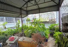 Bán nhà mặt phố Bưởi, Ba Đình, diện tích 45.1m2, 3 tầng, giá 27 tỷ... Bán nhà mặt phố tại Giảng Võ, Hà Nội 05