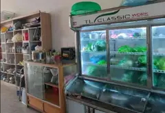 Đất mặt tiền rộng 4m tại trung tâm Phương Lưu, hướng Đông Bắc... Bán đất tại Đông Hải, Hải Phòng 04