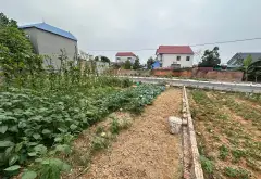 Cơ Hội Vàng Đầu Tư Đất Phân Lô Đẹp Nhất Sóc Sơn!... Bán đất tại Sóc Sơn, Hà Nội 04