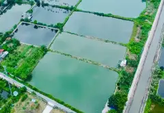 Quỹ đất vàng gần 1.8ha tại TDP Đẩu Sơn - Cơ hội đầu tư vượt trội không thể bỏ lỡ... Bán đất tại Kiến An, Hải Phòng 03