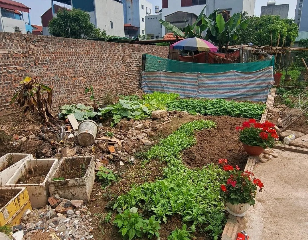 Bán đất thổ cư Phúc Lợi, mặt tiền 5m, diện tích 55.5 m², pháp lý cơ sở... Bán đất tại Long Biên, Hà Nội 01