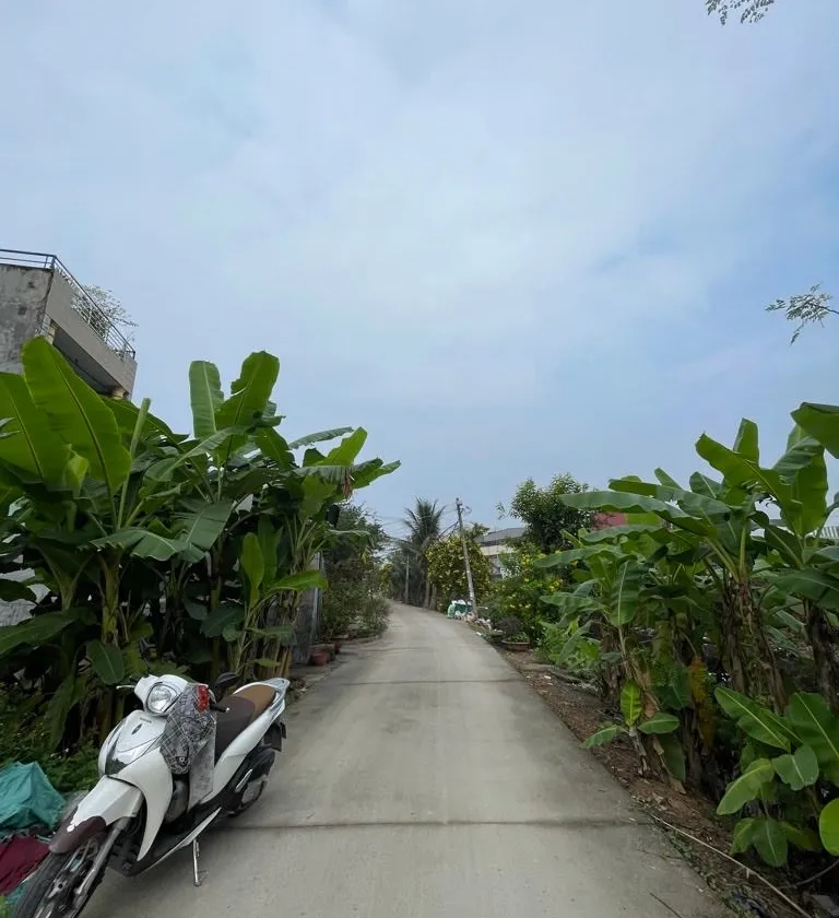 Cơ hội hiếm có sở hữu đất thổ cư vị trí đắc địa tại Vĩnh Lộc với giá tốt... Bán đất tại Tân Vĩnh Lộc, Hồ Chí Minh 01