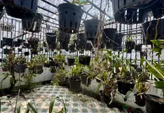 Bán nhà riêng 4 tầng hẻm rộng Quận 12, ngang 10.5m, giá 5.8 tỷ... Bán nhà riêng tại An Phú Đông, Hồ Chí Minh 12