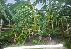 Lô đất vàng khu Đa Hòa - Mễ Sở ô tô vào thoải mái chỉ nhỉnh 2 tỷ... Bán đất tại Mễ Sở, Hưng Yên 06