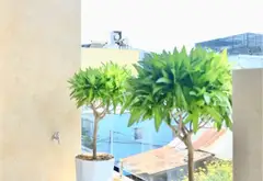 Nhà Mặt Tiền Hòa Cường Đẳng Cấp 3 Tầng Kiên Cố... Bán nhà mặt phố tại Hòa Cường, Đà Nẵng 16