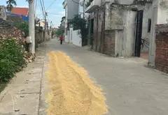 Cơ hội sở hữu lô đất góc mặt tiền đẹp tại trung tâm xã Kim Anh... Bán đất tại Kim Anh, Hà Nội 06