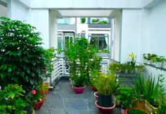 Bán nhà 4 tầng có thang máy tại phường Đông Hưng Thuận, HCM... Bán nhà riêng tại Đông Hưng Thuận, Hồ Chí Minh 20