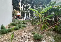🔥 ĐẤT MẶT PHỐ NGUYỄN QUYỀN – TRUNG TÂM TP. BẮC NINH 🔥
💥 72M² ĐẤT VÀNG – VỊ TRÍ ĐẸP – KHAI THÁC... Bán đất tại Võ Cường, Bắc Ninh 04