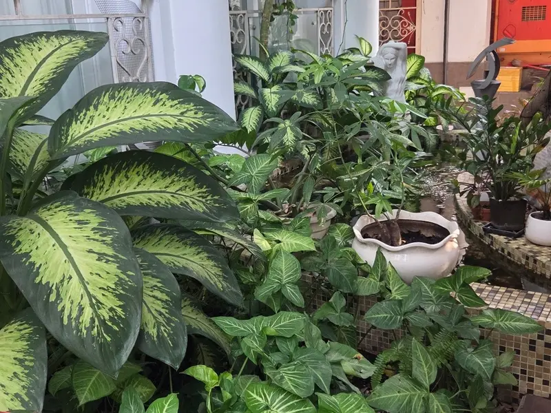 Bán khách sạn 4 sao 9 tầng có hồ bơi tại Phường 10, Phú Nhuận... Bán bất động sản khác tại Phú Nhuận, Hồ Chí Minh 01