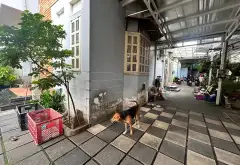 Biệt thự 3 tầng sân vườn phường Tây Thạnh, ,12x24m... Bán nhà riêng tại Tây Thạnh, Hồ Chí Minh 02