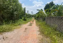 Bán đất 425m² tại Đông Sơn, mặt tiền 8m, có 72m² thổ cư... Bán đất tại Yên Thế, Bắc Ninh 03