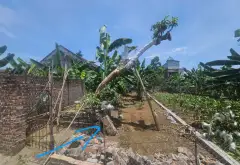 Đất thổ cư bứt phá- đông tảo- Hưng Yên , tìm năng cao... Bán đất tại Hoàn Long, Hưng Yên 01