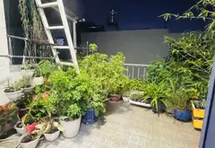 Bán nhà riêng tại Phường Phước Long, TP.HCM, 48.6m2, 3 tầng, giá 4.95 tỷ... Bán nhà riêng tại Phước Long, Hồ Chí Minh 09