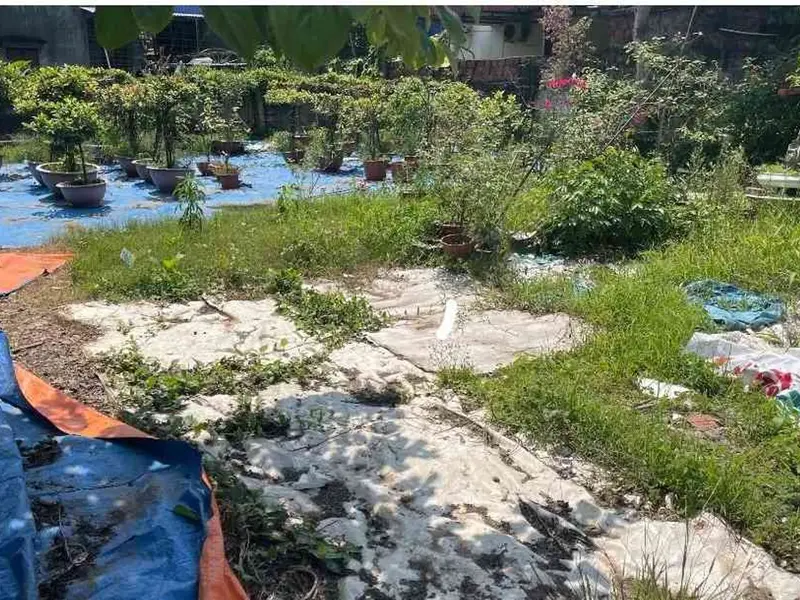 Lô đất hiếm tại Thôn 3 Thiên Hương – Cơ hội vàng cho nhà đầu tư và xây dựng kinh doanh... Bán đất tại Thiên Hương, Hải Phòng 01