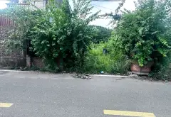 Bán BĐS Dòng Tiền Vĩnh Tuy, Kim Ngưu, VĂN GIANG- Dãy 7 phòng trọ
102m2- Mặt tiền 5m - Trục chính... Bán đất tại Văn Giang, Hưng Yên 01