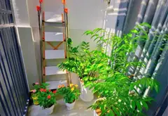 Nhà 3 tầng 40m2 tại Vườn Lài, Tân Phú giá 5.8 tỷ... Bán nhà riêng tại Phú Thọ Hòa, Hồ Chí Minh 08