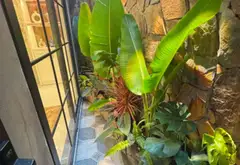 🍁NHÀ MỚI KÍNH KONG SIÊU THOÁNG SÁNG - THANG MÁY - PHỐ VIP, TRUNG TÂM 3 QUẬN... Bán nhà riêng tại Tây Hồ, Hà Nội 03