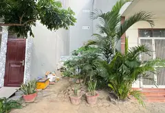 Đất Vàng Trung Tâm Phường Dương Nội, Vị Trí Đắc Địa Đầu Tư Sinh Lời... Bán đất tại Dương Nội, Hà Nội 07