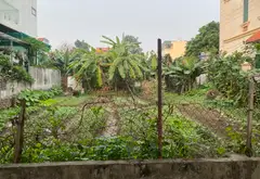 80m2 FULL HÀNG XÓN VỚI TRỤC ĐẠI LỘ CẢNH QUAN SÔNG SỒNG - VÕNG LA ĐÔNG ANH - SỔ CHÍNH CHỦ - KO QH... Bán đất tại Thiên Lộc, Hà Nội 06