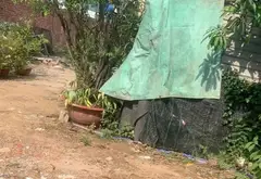Bán đất trồng cây lâu năm đường Tam Đa - Nguyễn Duy Trinh 1000m2 giá 13 tỷ 8 TL.... Bán đất tại Long Trường, Hồ Chí Minh 07