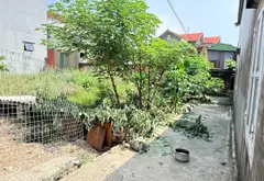 🏡 BÁN ĐẤT TẠI PHƯỜNG TỪ SƠN, BẮC NINH – GIÁ 1,XX tỷ... Bán đất tại Từ Sơn, Bắc Ninh 06