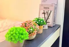 Nhà đẹp 2 tầng sát mặt tiền Lê Đại Hành, trung tâm quận sầm uất... Bán nhà riêng tại Minh Phụng, Hồ Chí Minh 05