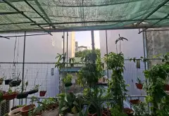SIÊU PHẨM ĐẤT VÀNG BA ĐÌNH • MẶT PHỐ 180M² • MT 7.6M • GIÁ ĐẦU TƯ... Bán đất tại Ba Đình, Hà Nội 03