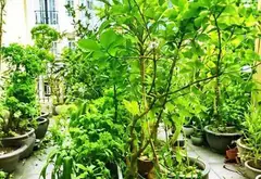 Bán nhà mặt phố Nguyễn Minh Hoàng, Tân Bình, 80m2, 4 tầng kiên cố, phù hợp vừa ở vừa kinh doanh... Bán nhà mặt phố tại Bảy Hiền, Hồ Chí Minh 06