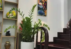 7.8 tỷ-Nhà 5 tầng Tân Mai, full nội thất, ngõ rộng xe tải vào, giá tốt hiếm có... Bán nhà riêng tại Tương Mai, Hà Nội 09