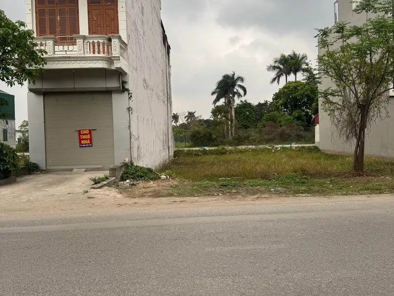 Đất kinh doanh đỉnh ngay khu vực Vin Olympic... Bán đất tại Ngọc Hồi, Hà Nội 01