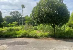 🌿 BIỆT THỰ XANH – ECOPARK THU NHỎ TẠI TỪ SƠN! 🏡

✨ Cách Long Biên chỉ 7km – đường trước nhà rộng... Bán biệt thự, liền kề tại Từ Sơn, Bắc Ninh 01