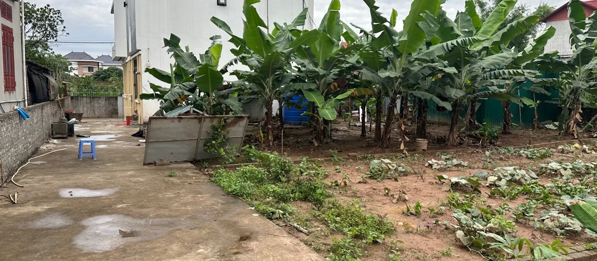 Đất Văn Giang - Đầu tư xịn, ôtô vào tận nơi
thôn quán trạch... Bán đất tại Văn Giang, Hưng Yên 01