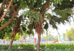 🔥🔥 Ô TÔ VÀO NHÀ – LÔ GÓC – NGÕ THÔNG – TRUNG TÂM BẮC TỪ LIÊM – NHÀ THOÁNG SÁNG, Ở CỰC SƯỚNG! 🔥🔥... Bán nhà riêng tại Phú Diễn, Hà Nội 02