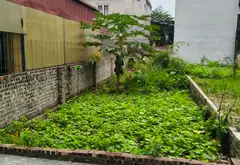 Bán đất 100m² Lê Hữu Tựu - Giá tốt, mặt tiền 5.4m, pháp lý rõ ràng... Bán đất tại Phúc Thịnh, Hà Nội 07
