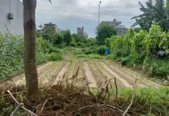 Lô đất góc hai mặt thoáng tại khu tái định cư Tràng Cát, Hải Phòng... Bán đất tại Hải An, Hải Phòng 05
