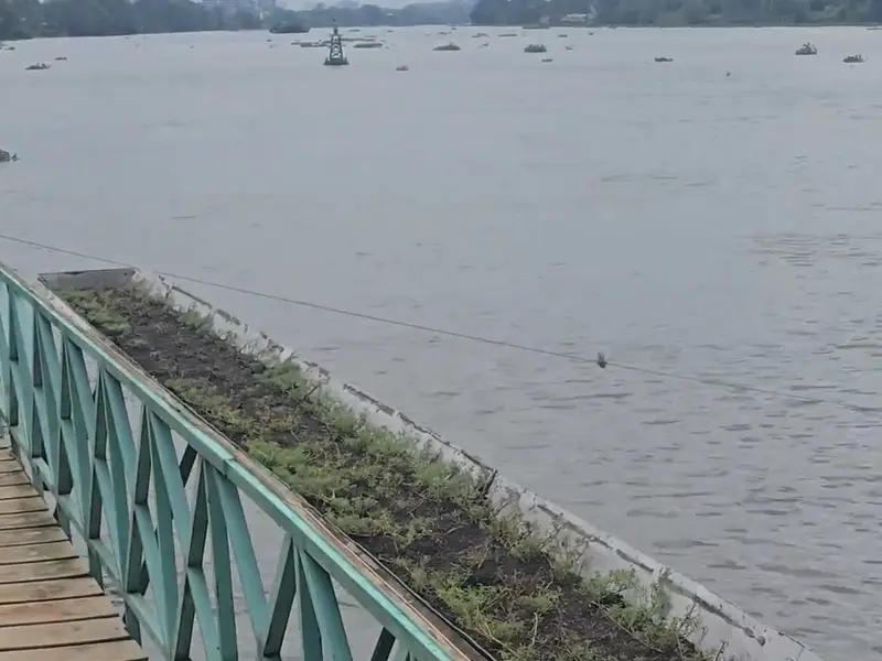 3000M2 ♻️ BIỆT THỰ ĐẲNG CẤP THƯỢNG LƯU | LÁI THIÊU | BẾN DU THUYỀN | SÔNG SÀI GÒN... Bán nhà mặt phố tại Lái Thiêu, Hồ Chí Minh 01