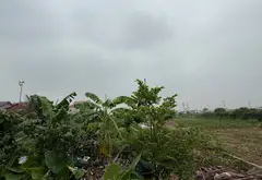 Đất Đẹp Dương Hạ - mế sở - Hưng Yên : Kinh Doanh & và đầu tư... Bán đất tại Mễ Sở, Hưng Yên 01