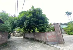 Cơ hội hiếm có tại trung tâm phát triển sôi động của Thủy Nguyên... Bán đất tại Lưu Kiếm, Hải Phòng 02