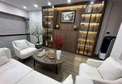 LÊ TRỌNG TẤN - MẶT NGÕ - Ô TÔ TRÁNH - KINH DOANH - NHÀ 2 MẶT NGÕ - THANG MÁY .... Bán nhà riêng tại Phương Liệt, Hà Nội 03