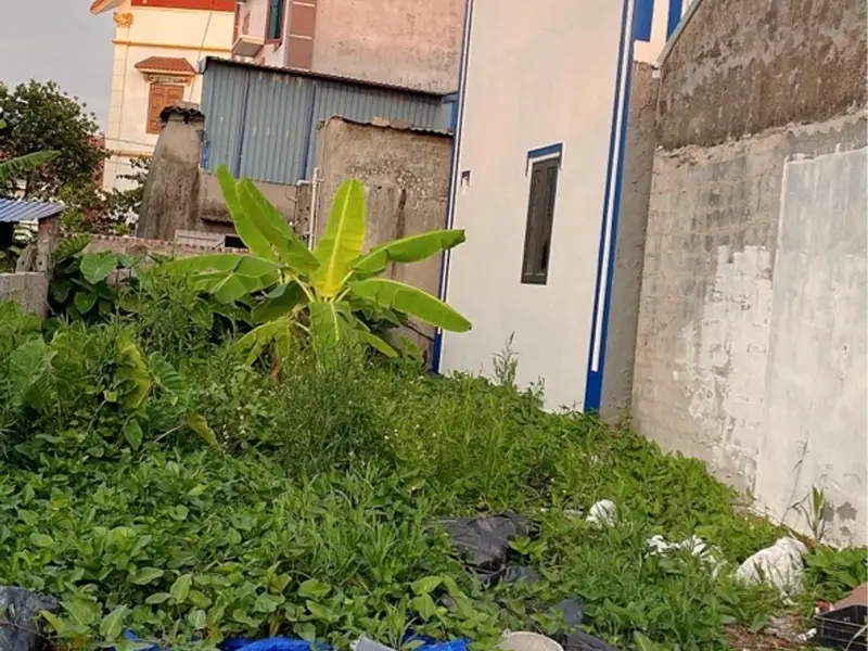 Lô đất 60m² phong thủy tốt, vị trí tiềm năng tại Hoàng Pha, Hoàng Động... Bán đất tại Thiên Hương, Hải Phòng 01