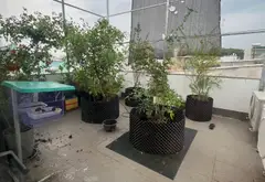 BÁN NHÀ RIÊNG 159m2 CẠNH VINHOME GRANDPARK LONG BÌNH TPHCM... Bán nhà riêng tại Long Bình, Hồ Chí Minh 10
