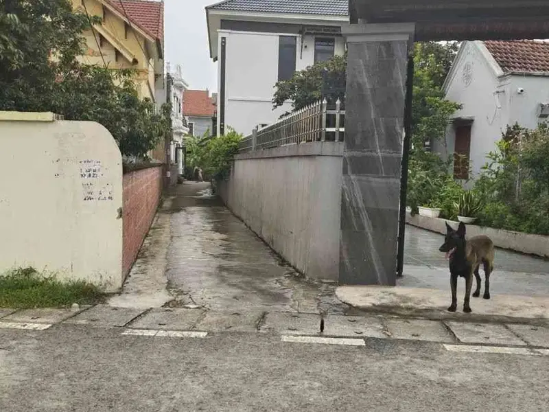 Lô đất tiềm năng hướng Nam tại phường Lưu Kiếm, Hải Phòng... Bán đất tại Lưu Kiếm, Hải Phòng 01