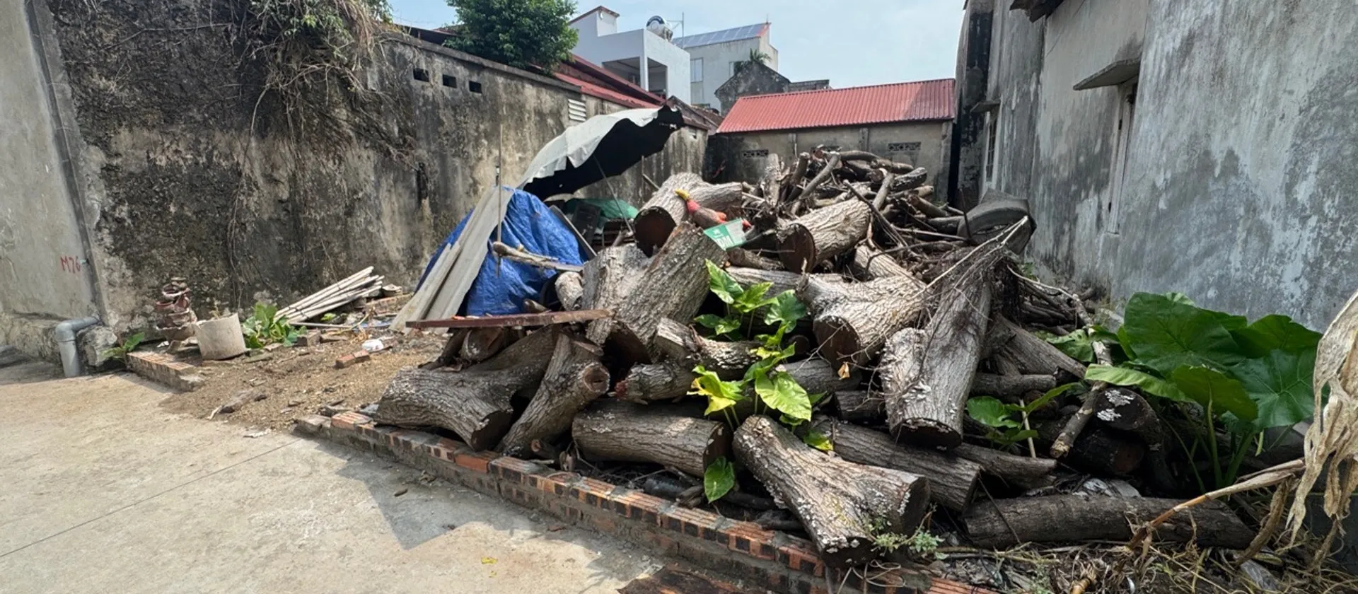Bán đất 94m2 đất tại mê linh giáp ql 23b , khu đô thị làng hoa mê linh... Bán đất tại Mê Linh, Hà Nội 01