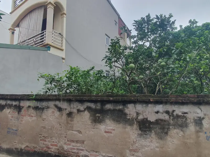 🔥Bán Đất Ven Hồ Lại Ốc 66m- MT 4.3m - Ngõ Ô Tô Thông -Loanh Quanh 4 Tỷ🔥... Bán đất tại Văn Giang, Hưng Yên 01
