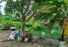 Đất rộng mặt tiền đường T11 Bình Chánh giá tốt... Bán đất tại Bình Chánh, Hồ Chí Minh 09