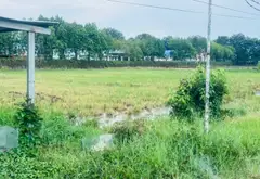 Đất rộng view làng nghề Bà Điểm, Hóc Môn giá hợp lý... Bán đất tại Bà Điểm, Hồ Chí Minh 03