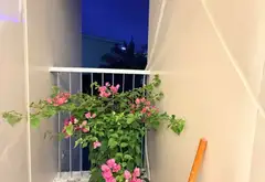 🌟 Căn Hộ 2PN Hồng Hà - Giảm Ngay 300TR, Sổ Đỏ Vĩnh Viễn!... Bán căn hộ chung cư tại Yên Sở, Hà Nội 04